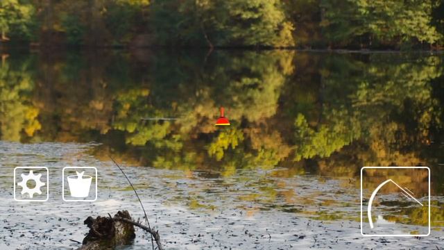 bobber fishing game смотреть онлайн