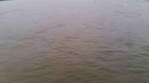 Карповая ловля. Город Харабали.( Сазан на 13кг. ) 4 октября 2014г.