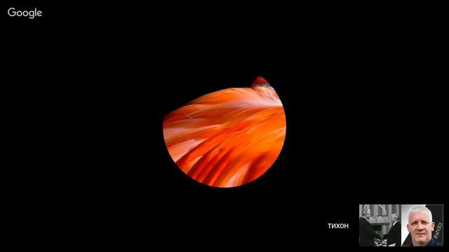 Кто виноват? Что делать? Разберемся! смотреть онлайн