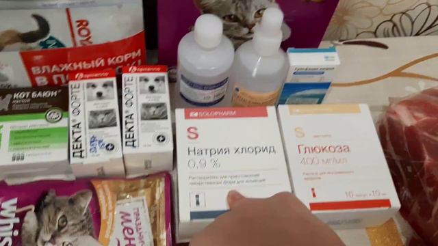 Закупка продуктов//зоотовары//фикспрайс смотреть онлайн