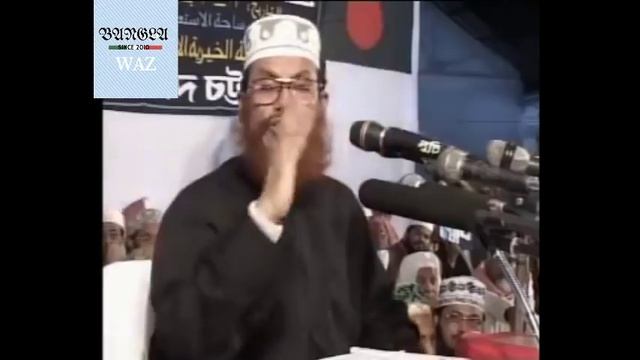 Jahannamer Voyabohota by Allama Delwar Hussain Saidi. bangla waz bangla waj смотреть онлайн