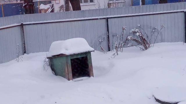 ЖЕСТОКОСТЬ или вынужденная мера смотреть онлайн