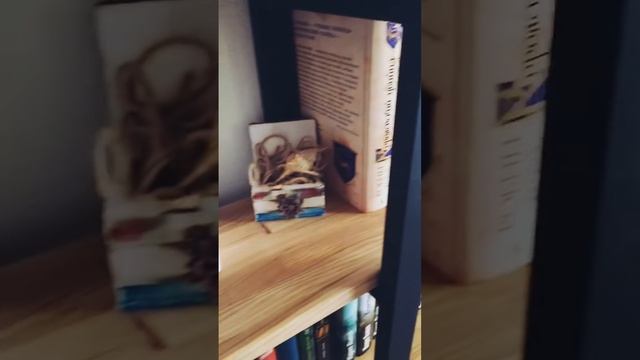 Новый книжный шкаф Музыка: Night in VeniceМузыкант: Kevin MacLeod #книжныйшкаф #расхламление смотреть онлайн