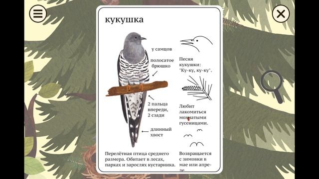 Мышкина Энциклопедия