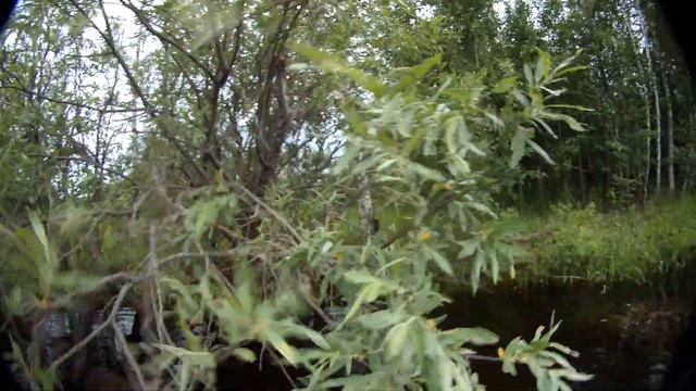 Жерлицы летом (часть 1) смотреть онлайн