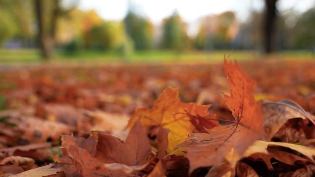 Все ваши заботы исчезнут, если вы послушаете эту музыку? Расслабляющая музыка успокаивает нервы смотреть онлайн