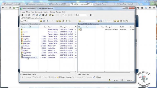 Хостинг Netangels.ru. Устанавливаем Wordpress.