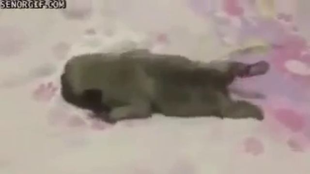 После выходных на работу смотреть онлайн