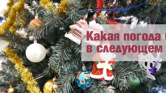 Каким будет 2019 год? Предсказания и пожелания от ломоносовских деток смотреть онлайн