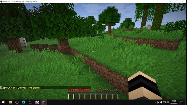 COMO CRIAR SERVIDOR DE MINACRAFT NA VERSÂO 1.19.4! "COM HOSPEDAGEM E SEM" смотреть онлайн