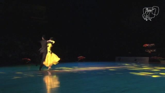 Karol Brull - Viktoria Bolender, SVK | 2013 PD World Cup Show Dance смотреть онлайн