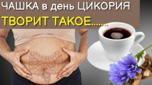 Вот Что творит Стакан ЦИКОРИЯ с Организмом. Вред и польза цикория