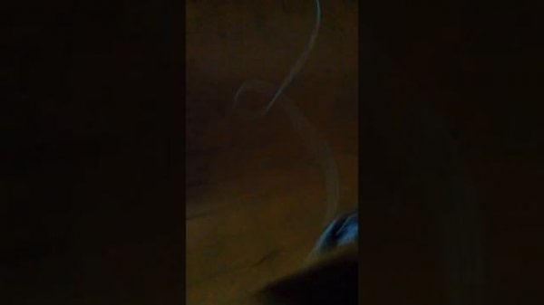 В ОБЩАГЕ НА ВПИСКЕ