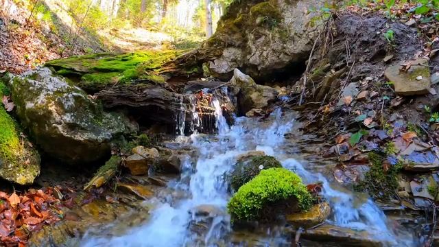 Шум водопада. Белый шум смотреть онлайн