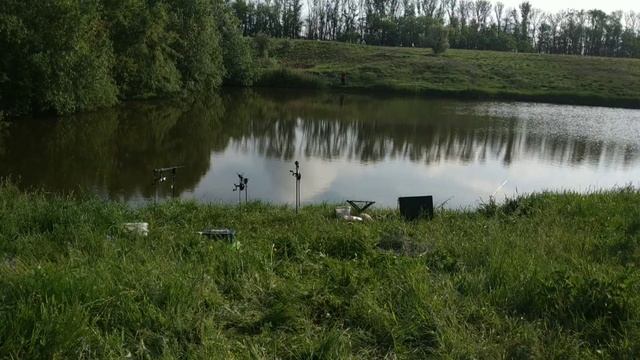 Новый водоем. Ловля карпа перед нерестом!!! В безклевье. смотреть онлайн