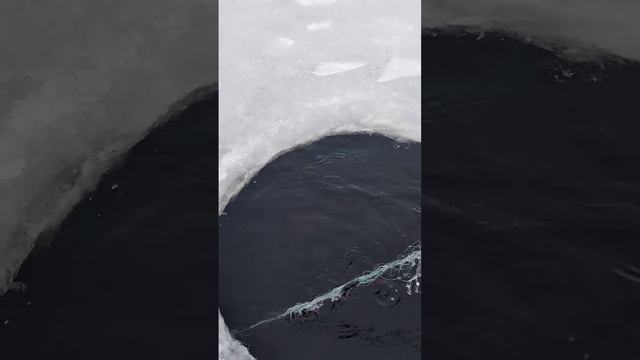 20 января 2024 г. смотреть онлайн