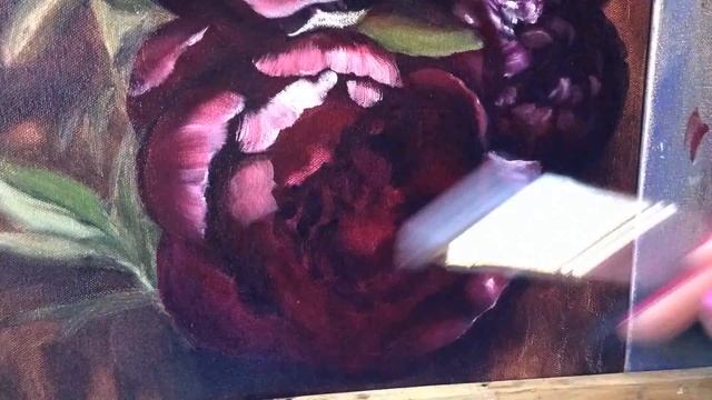 Claret Peonies / Peonias claretes / Бордовые пионы смотреть онлайн