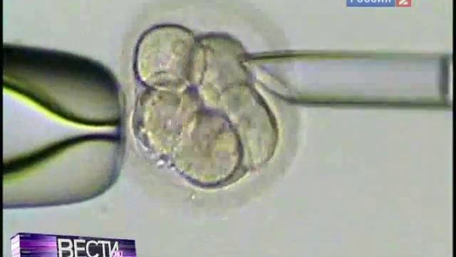 Десятка значимых открытий от журнала Science