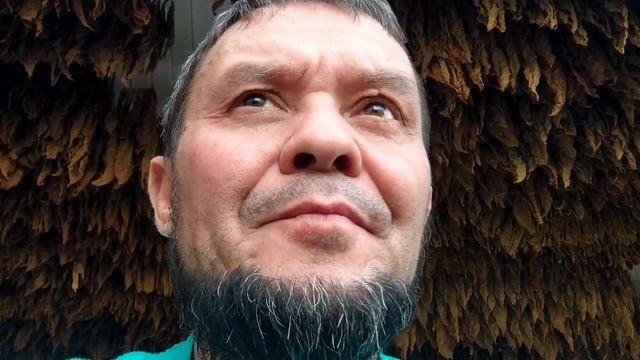 Virginia 359, Virginia Aroma Дегустация