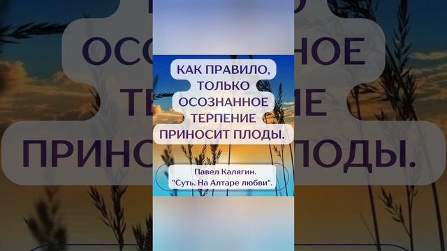 Как правило, только осознанное терпение приносит плоды. смотреть онлайн