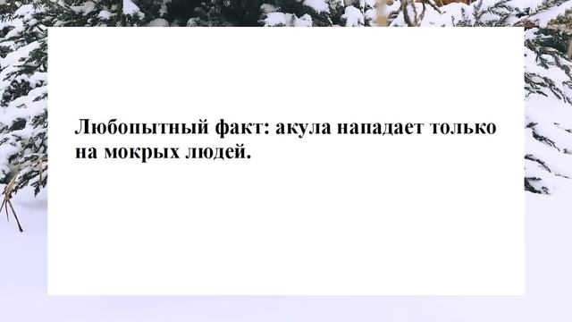 №24 ... Тут раздаётся стон... Смешные анекдоты. Отборные анекдоты. Веселые анекдоты. Смех. Ржака. смотреть онлайн