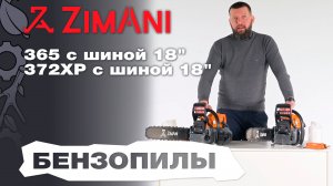 Обзор и сравнение на бензопилы ZimAni 365 и 372XP с шиной 18»