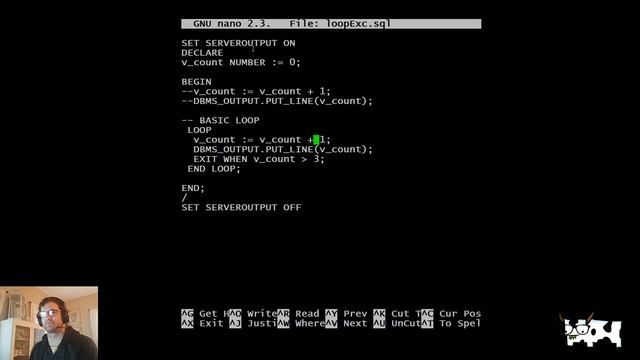 Basic Loops in PL\SQL in Oracle 19c смотреть онлайн