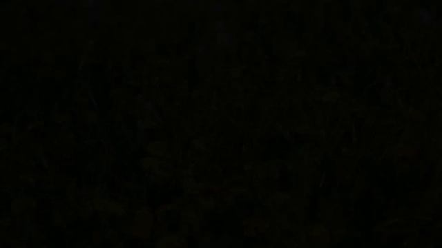 Наша любимая группа. Представление участников+клип. Детский сад №180 смотреть онлайн