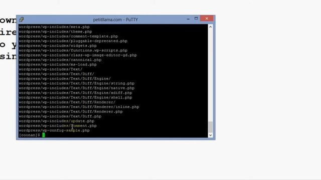 Download WordPress directly to your web server using wget смотреть онлайн