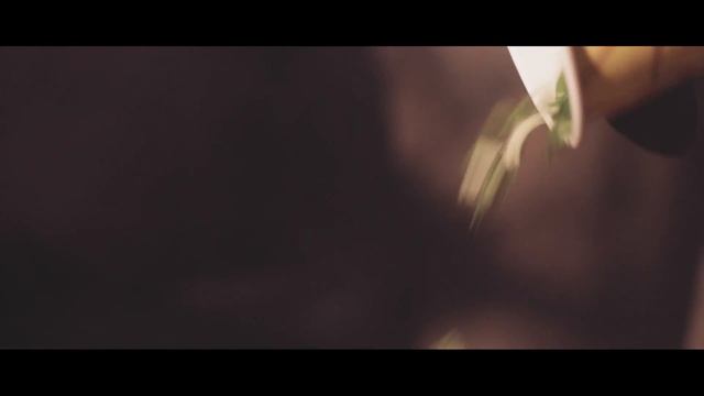 Волжские Встречи кафе