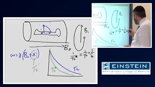 Introducing MRI: Introduction To Magnetic Susceptibility (14 Of 56)