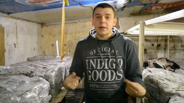 15-й день в грибнице. Как мы справлялись с температурой. Дальнейшие планы. Выращивание шампиньонов! смотреть онлайн