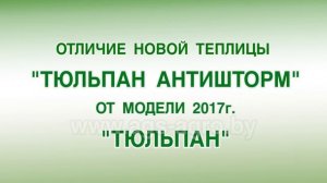 Теплица Тюльпан Премиум (Антишторм)