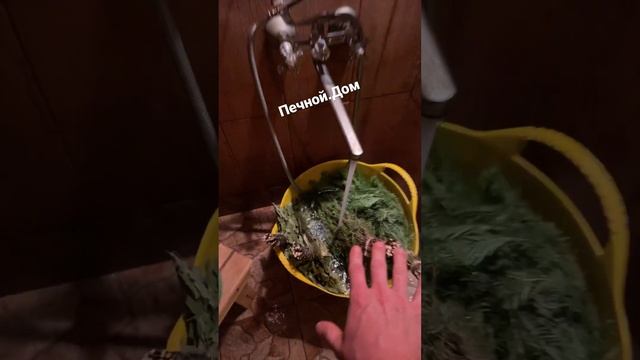 Веники из пихты можжевельника берёзы ассорти готовим к парению. ￼Все для бани в наличии смотреть онлайн