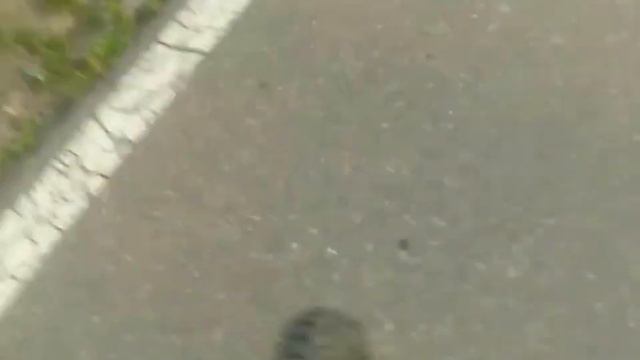 унас в беларусии вырвало дерево с карнями смотреть онлайн
