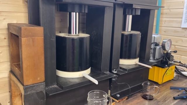 Масло расторопши полезные свойства. Масло холодного отжима. Производство сыродавленного масла