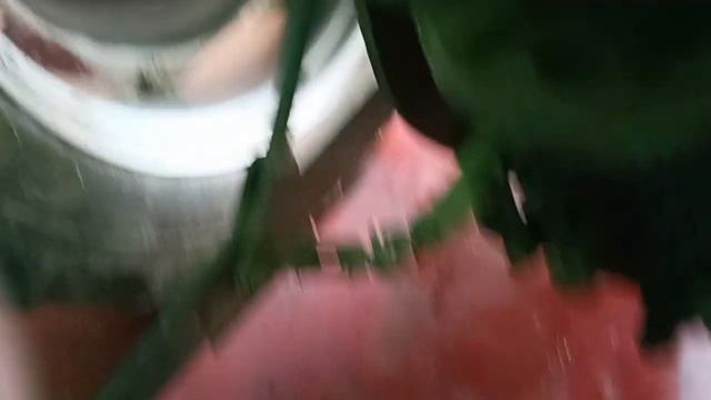 बिकाऊ IMT 533 मॉडल 1963 ✍️ बिक गया 🙏 21 March 2023 смотреть онлайн