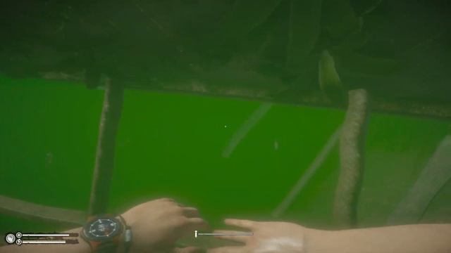 Steamboat Location Discovered - Green Hell #9 смотреть онлайн