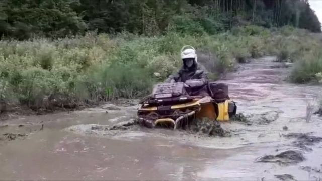 Топили Guepard смотреть онлайн