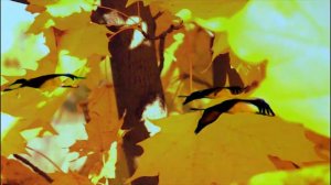 Душевная песня   исполняет Иоганн Браун