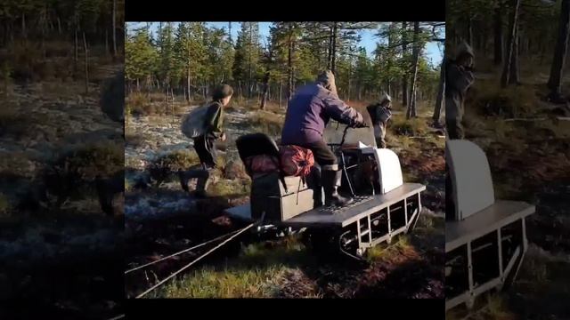 ВЕХОР репортаж из лесотундры смотреть онлайн