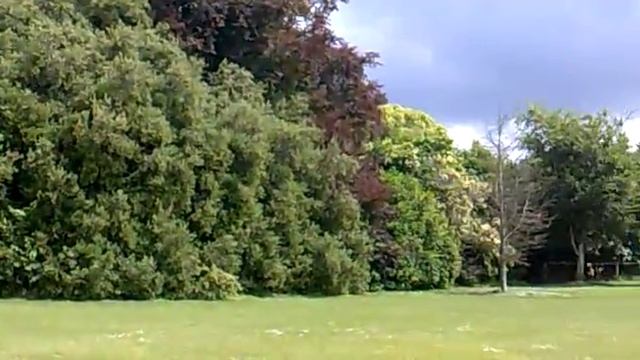 Kilkenny Castle - Ireland смотреть онлайн