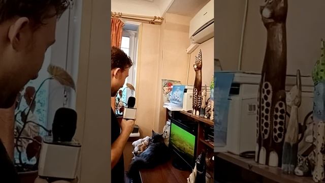 Сиреневый туман Дехта Д. М. смотреть онлайн