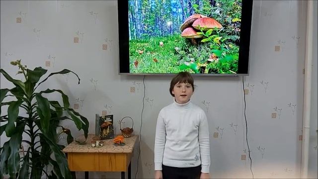 "Что такое грибы?" Герина Софья смотреть онлайн