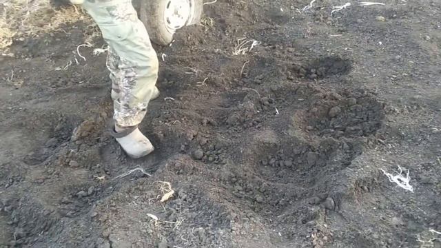 За перегноем. Будем удобрять огород, смотреть онлайн