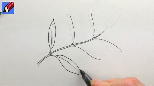 How to draw an Olive Branch Real Easy смотреть онлайн