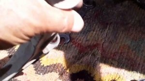 Замена саленблоков переднего рычага.Ниссан Вингроад.