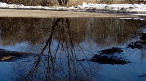 Весеннее настроение