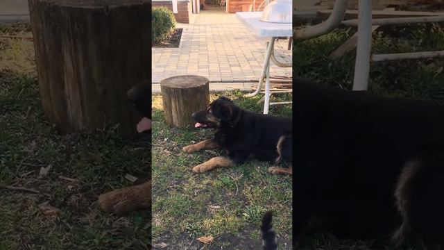 Любовь не знает границ смотреть онлайн