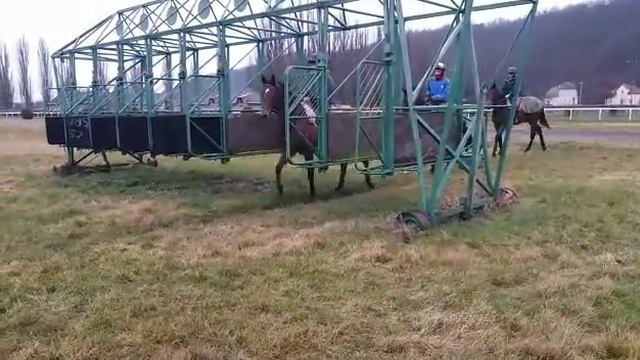 Боксы Тренировка скаковых лошадей, тренер Ендальцев Игорь, смотреть онлайн